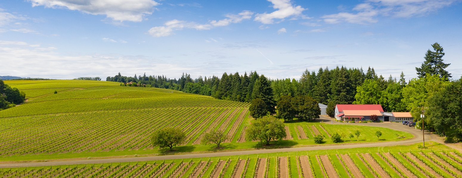 Tualatin Estate Vineyards Mother's Day Event