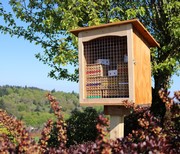 maison bee home