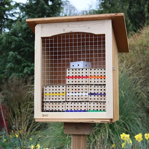 Mason Bee Box in Elton Gardon