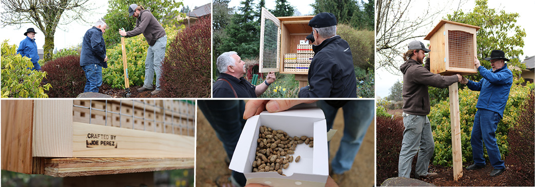 Photo collage of installing bee boxes at Estate and Elton VIneyard