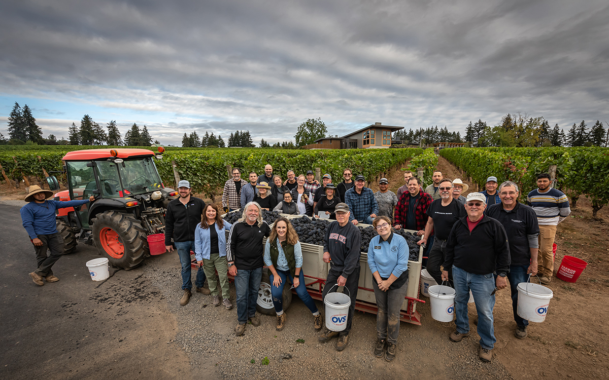 Oregon Wine Enthusiasts gathered around several bins of Pinot Noir grapes at Bernau Estate Vineyards for the first pick of the 2022 harvest. These Pinot Noir grapes will eventually make sparkling wines to be sold at Domaine Willamette.