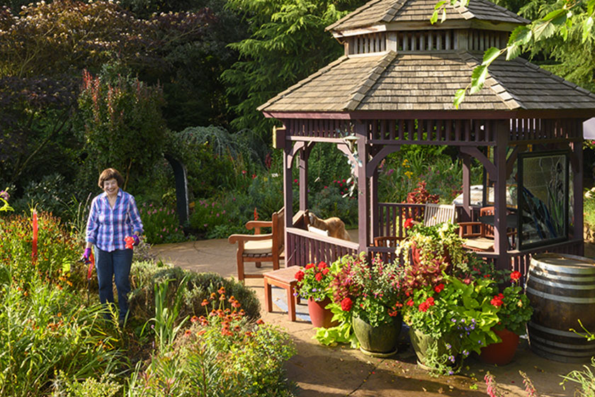 An illustration of Betty O'Brien's garden