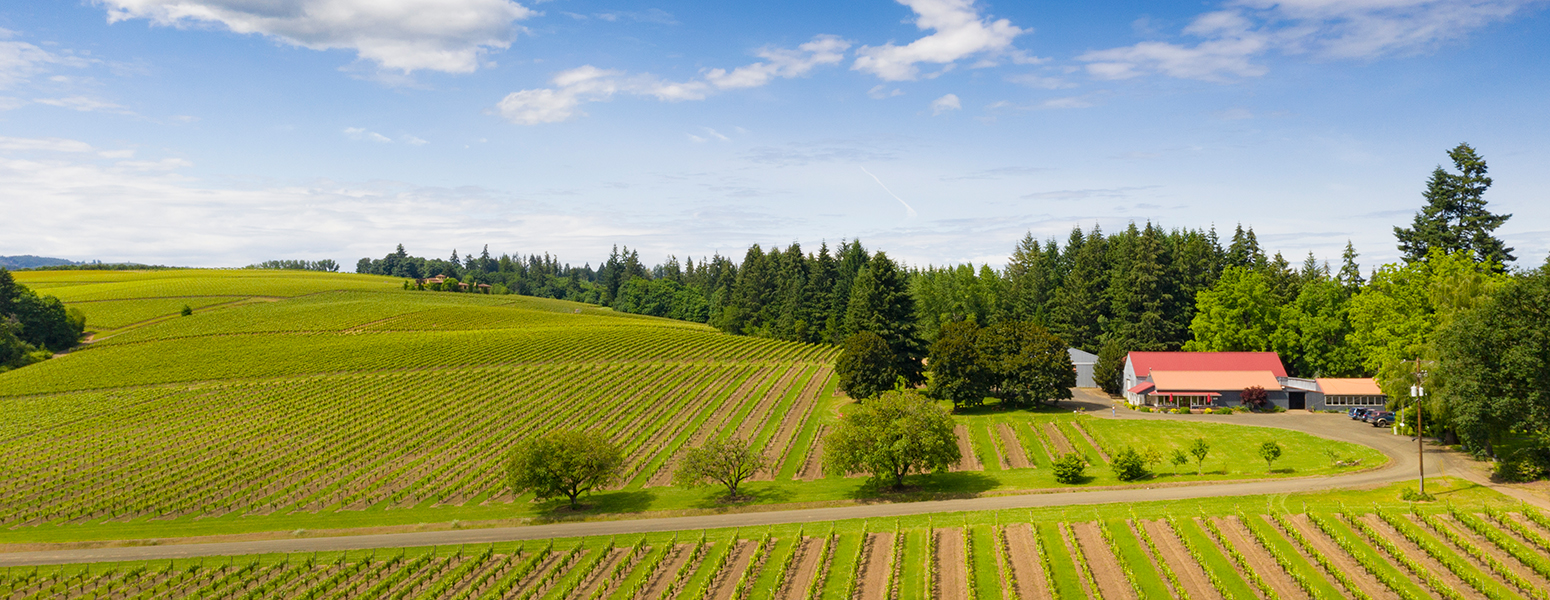 Director of Winemaking and Vineyards, Terry Culton