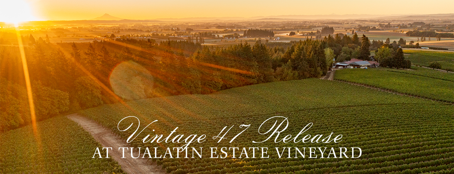 An image of sunrise over the Tualatin Estate Vineyards to promote Willamette Valley Vineyards Vintage 47 release party.