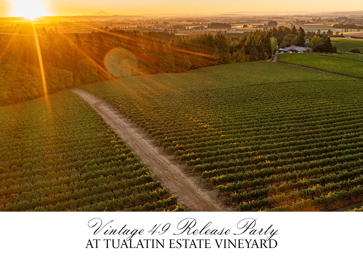 Director of Winemaking and Vineyards, Terry Culton