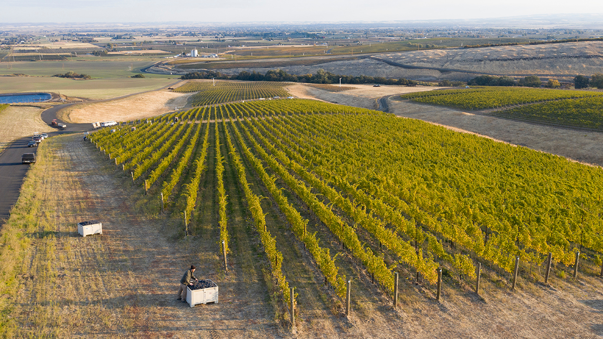 A hand setting a table in preparation for a Willamette Valley Vineyards Pairings Dinner
