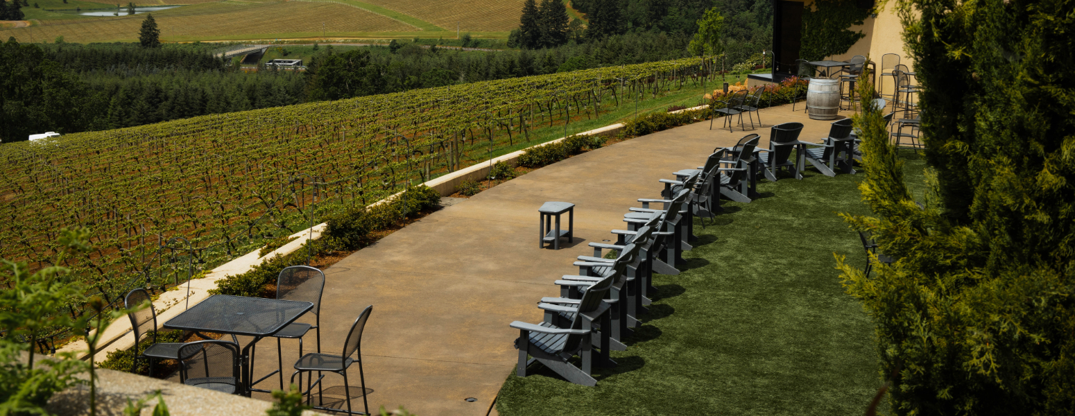 place setting with forks and knifes, menu and wine glasses