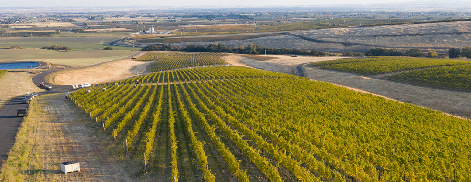 A hand setting a table in preparation for a Willamette Valley Vineyards Pairings Dinner