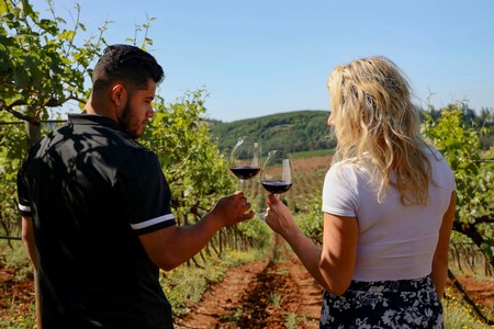 image of a man and women walking through a vineyard as they cheers with glasses of Pinot Noir.