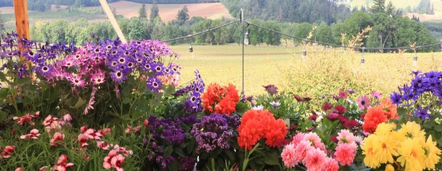 Flowers from a flower vendor on display in the courtyard