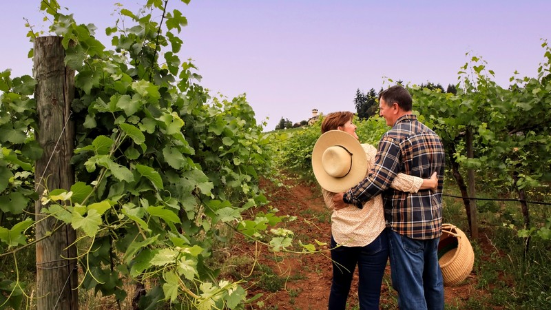 A couple standing in the vineyard