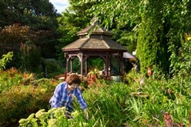 Betty O'Brien working in the Elton Garden