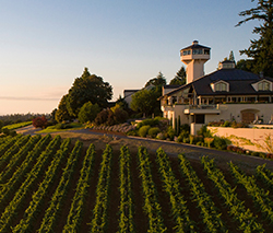 Estate Tasting Room aerial photo