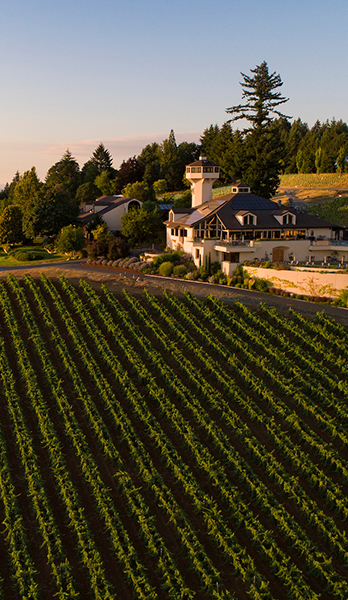 Estate Tasting Room aerial photo