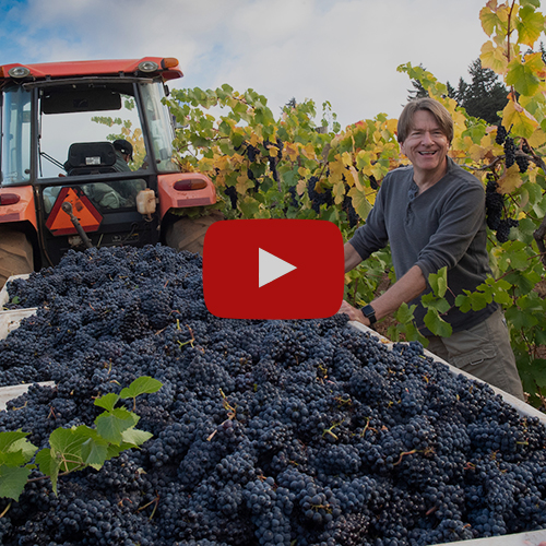 Thumbnail for an Ownership video featuring Harvest