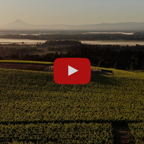 Thumbnail for a video encouraging Wine Enthusiasts to become Owners in Willamette Valley Vineyards and discusses the Wine Industry.