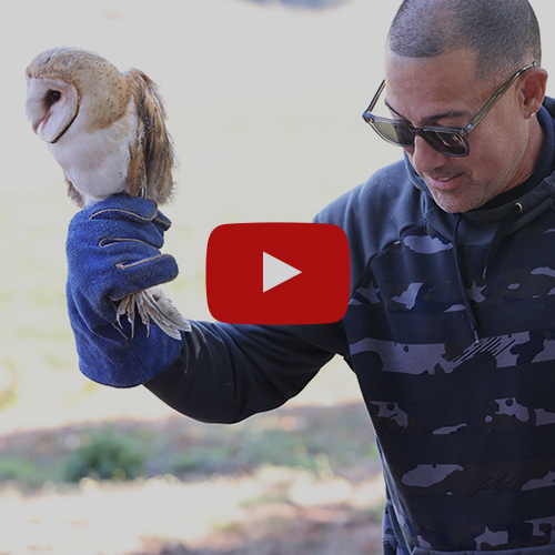 Thumbnail for a video about stewardship at Willamette Valley Vineayards