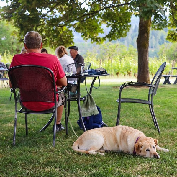 Tualatin Estate Vineyards