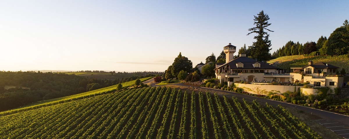 Drone shot of the winery and estate vineyard in the foreground