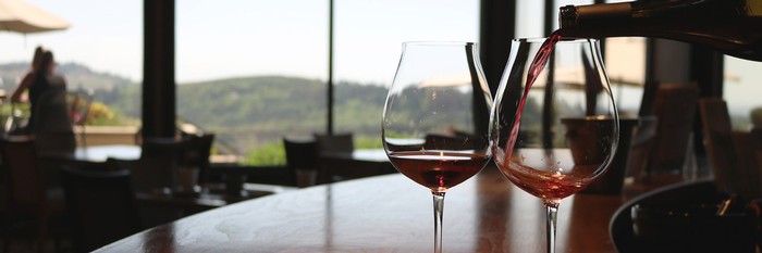 Two glasses on the tasting bar with wine