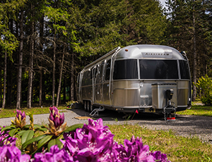 Reserve an airstream at Into the Woods
