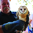 Facilities Coordinator Randy holding a barn owl