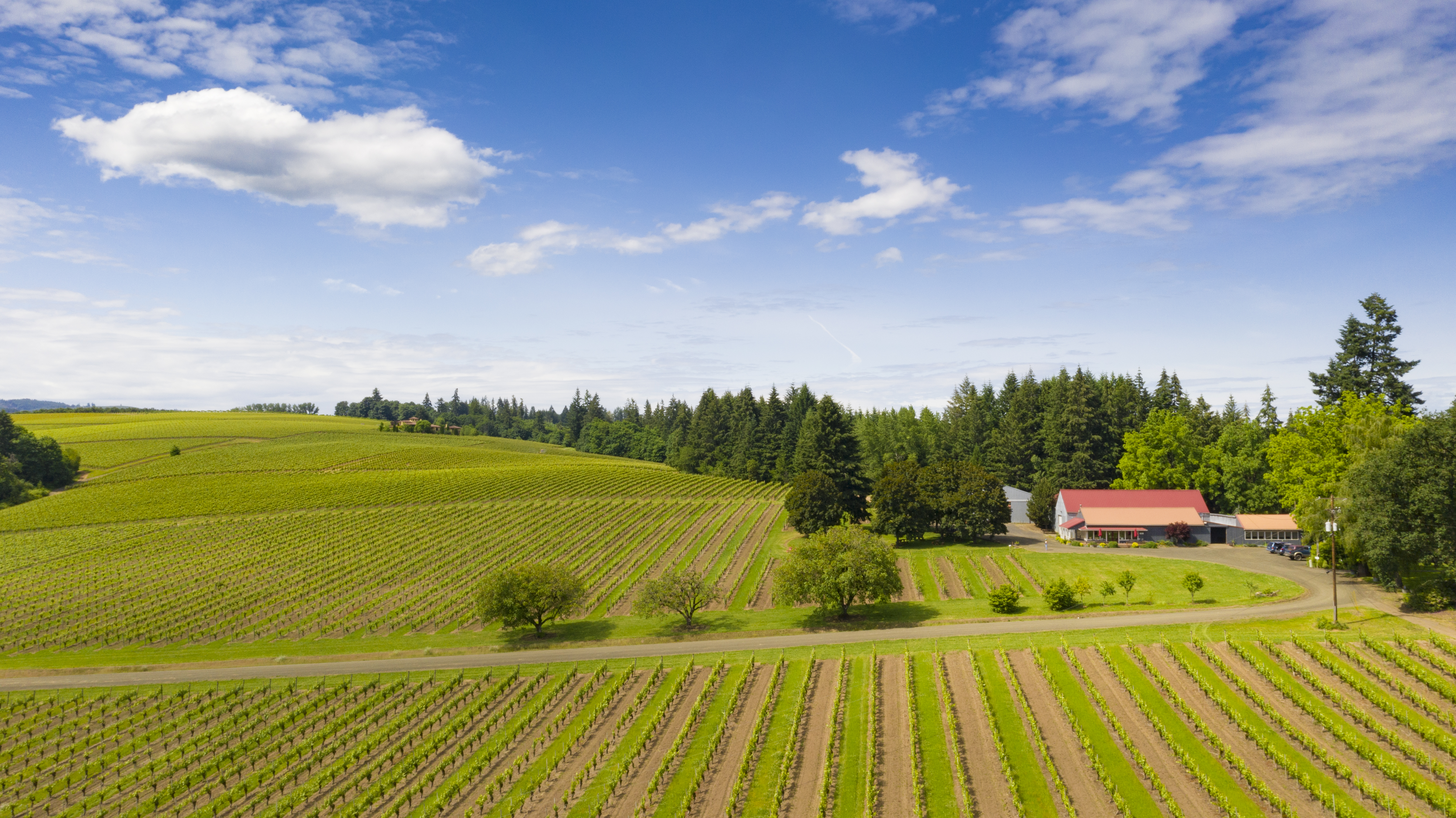 Tualatin Estate Vineyards