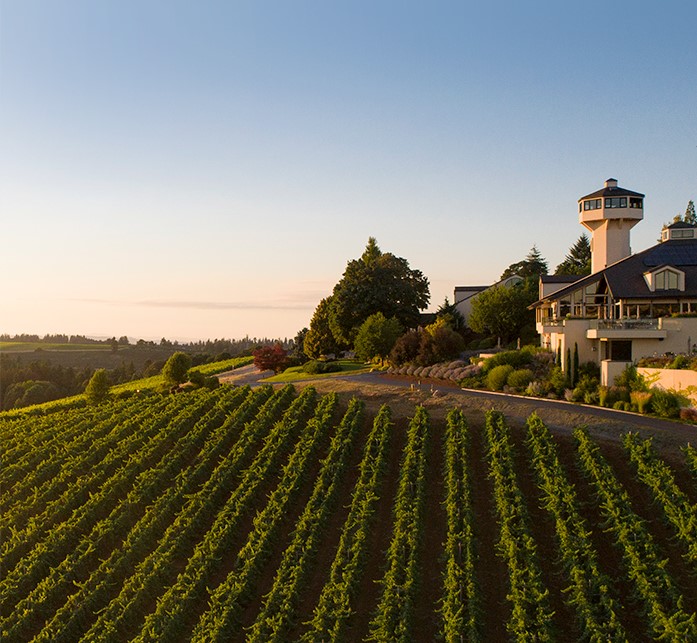 Uncorked Ambassador Beating The Drum For Oregon Wines Daily Chronicle