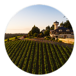 Willamette Valley Vineyards