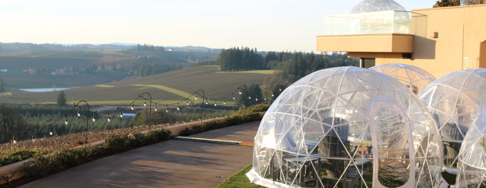 Wine pods on the lower patio with vineyards in the background 