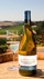2022 Pinot Gris - View 2