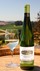 2021 Riesling - View 2