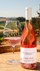 2021 Whole Cluster Rosé of Pinot Noir - View 2