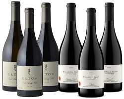 Women in Wine Collection