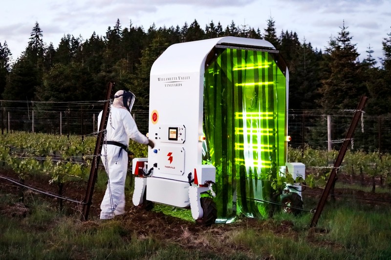 David Markel, Research and Development Manager at Willamette Valley Vineyards, turns on UV-C Robot.