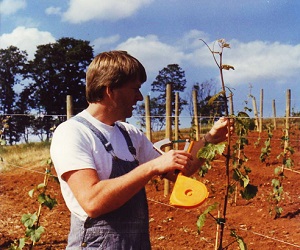 Planting first harvest at Willamette valley Vineyards