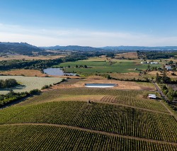 Loenza Vineyard Aerial