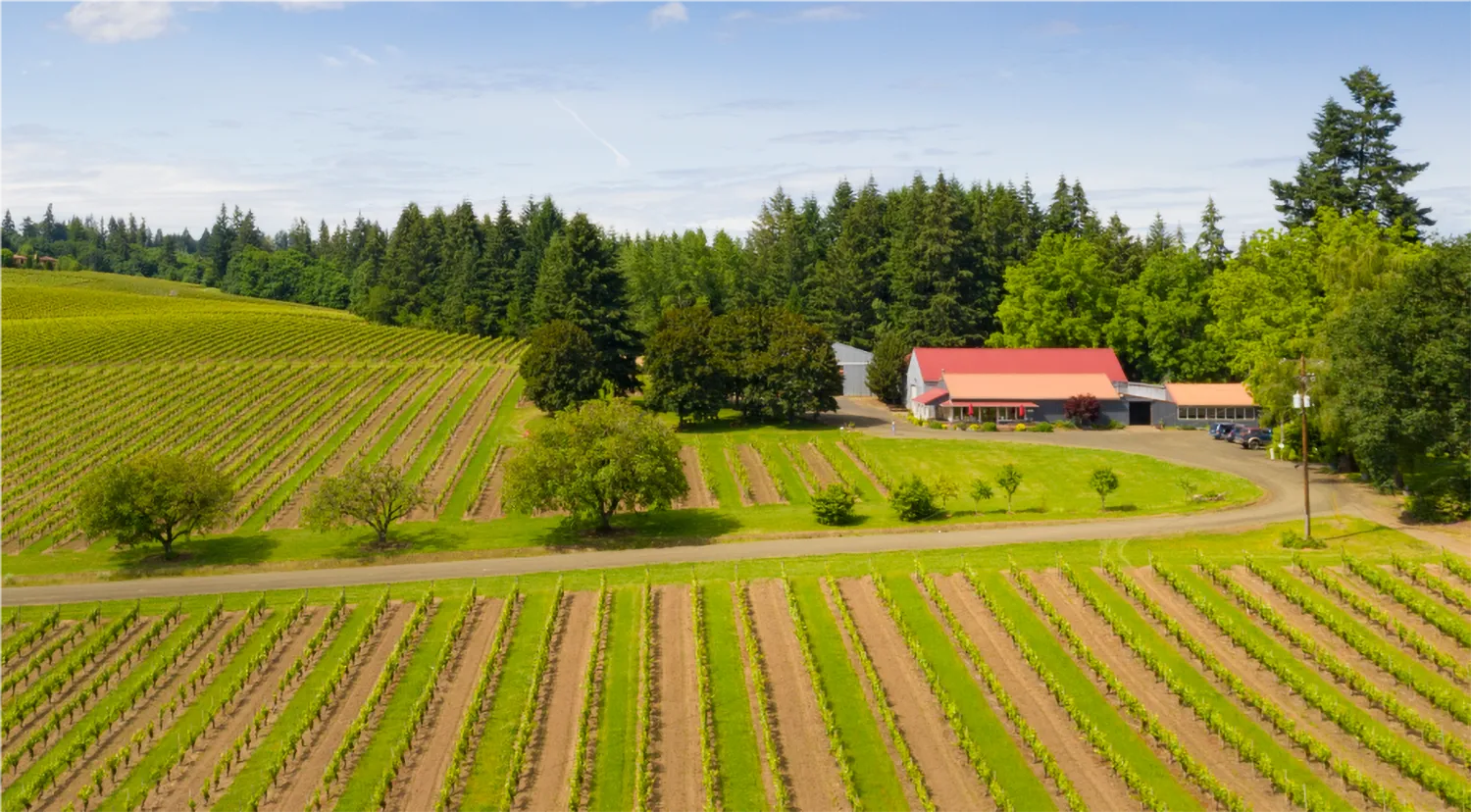 Tualatin-Estate-drone