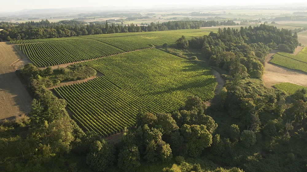Aerial view over Elton Vineyards, Eola-Amity AVA, Willamette Valley, Oregon