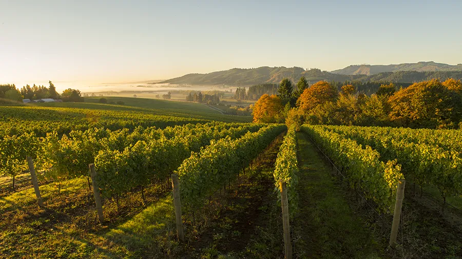 Tulatin Valley estate thumbnail