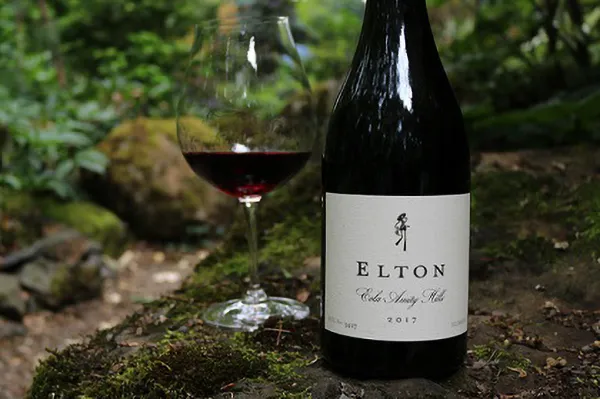 Elton Vineyards wine bottle in a forest