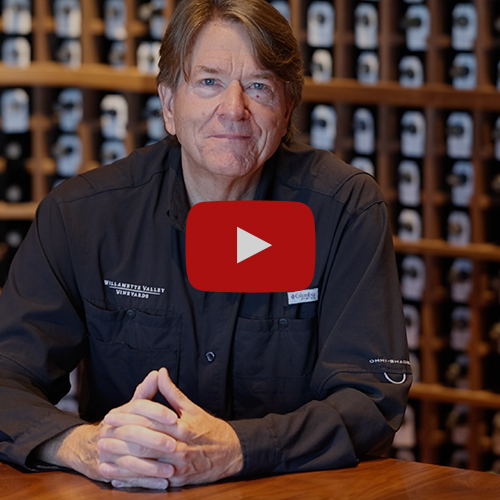 Ownership Oregon Wines YouTube thumbnail