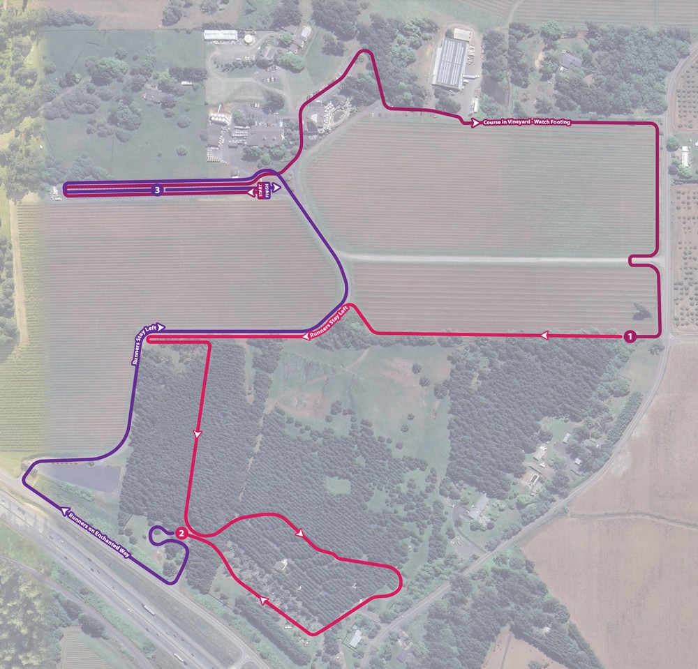 Run Willamette course map