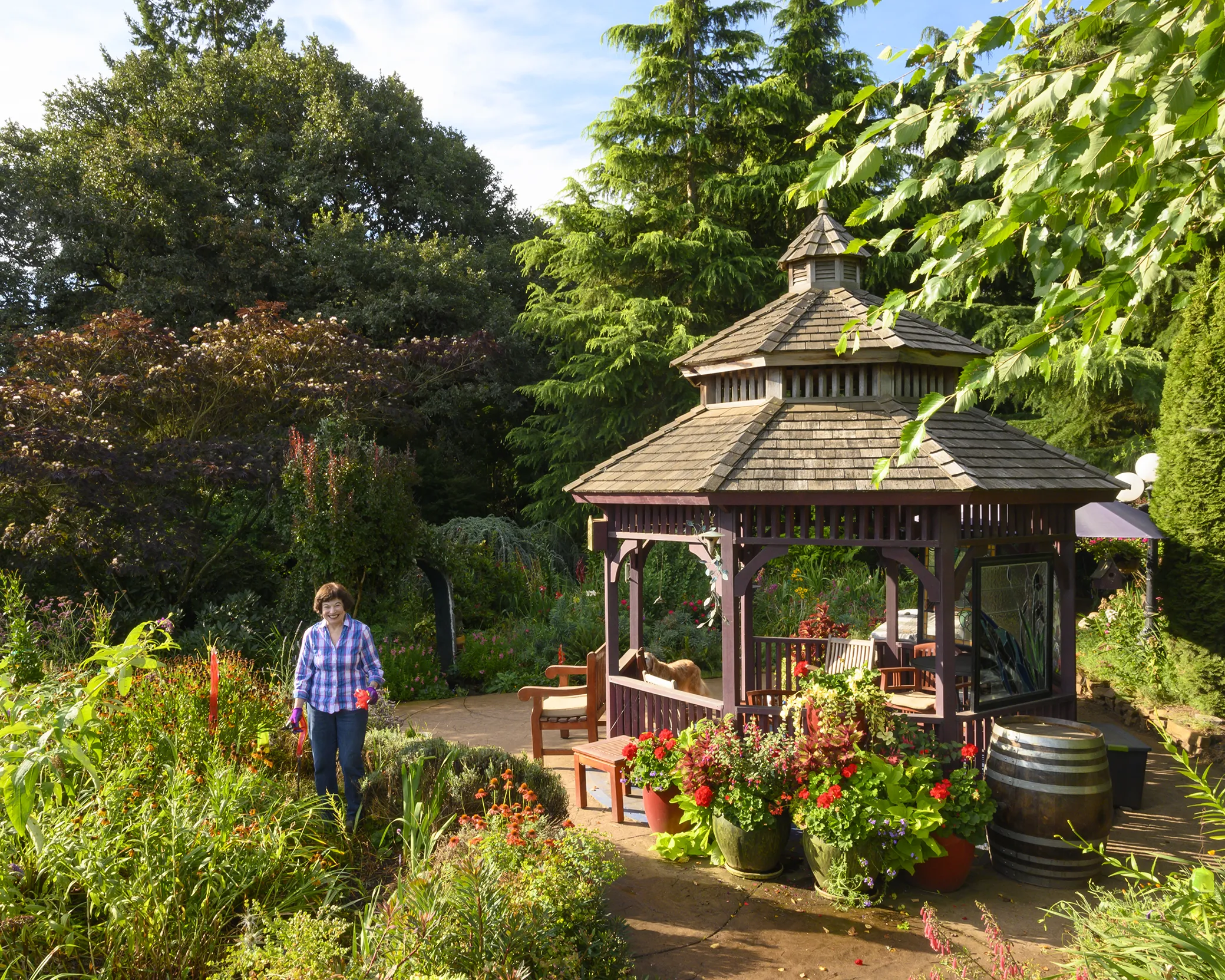 Gazebo in Elton Vineyards
