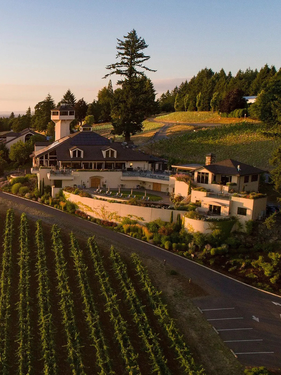 Aerial view of the Estate in the Salem Hills.